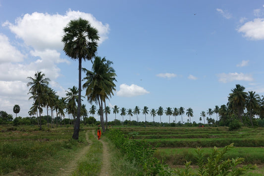 Oshadi Meets: Yoshiko Nagai, writer, curator and founder of Materia Prima